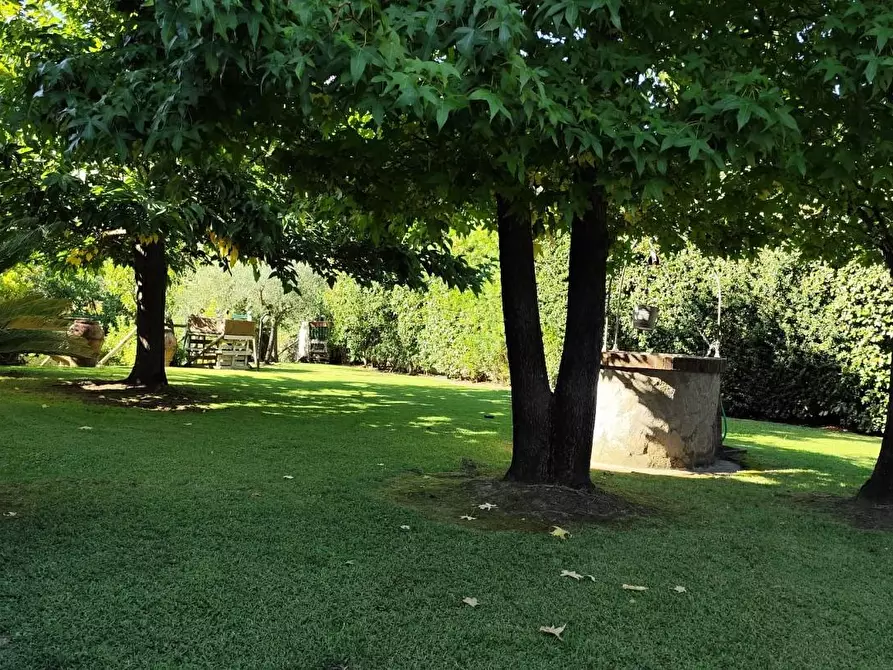 casa indipendente in vendita a Calci