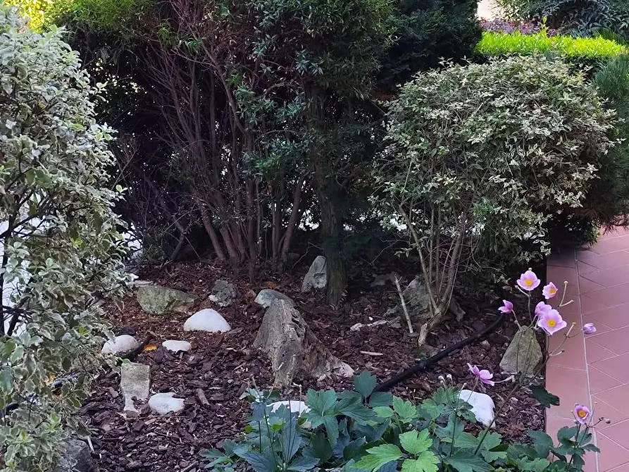 Immagine 3 di Villetta a schiera in vendita  a Calci