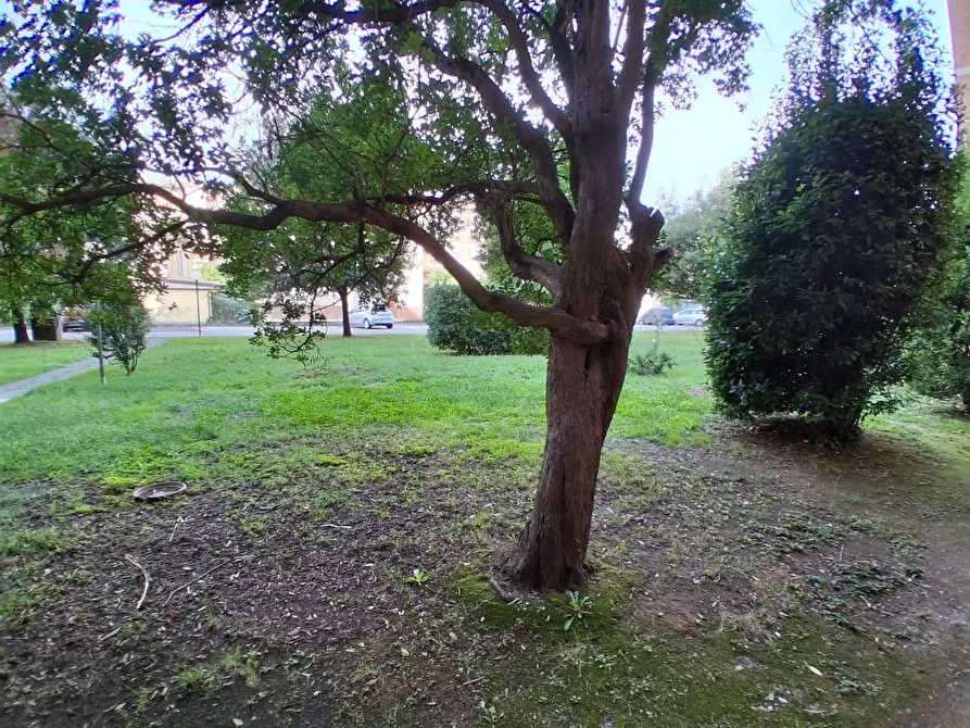 Immagine 29 di Appartamento in vendita  a Lucca