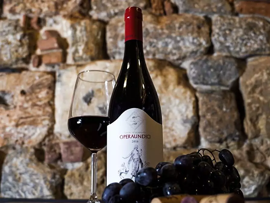 Immagine 4 di Bar / Ristorante in vendita  a Pisa