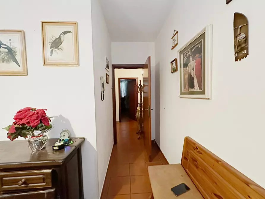 Immagine 11 di Terratetto in vendita  a Capannori