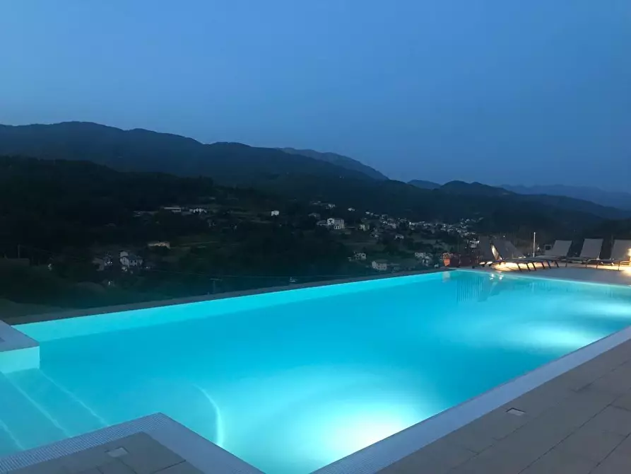 Immagine 22 di Villa in vendita  a Piazza Al Serchio