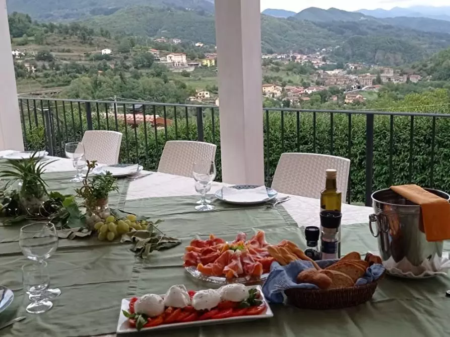 Immagine 19 di Villa in vendita  a Piazza Al Serchio