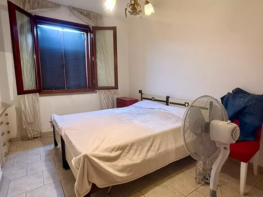 Immagine 15 di Appartamento in vendita  a Peccioli