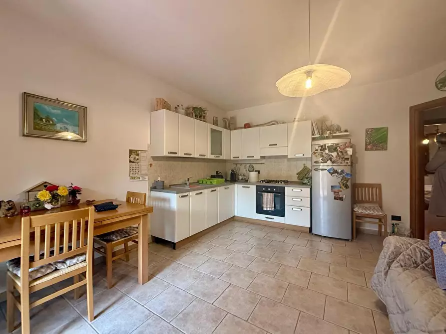 Immagine 7 di Appartamento in vendita  a Peccioli