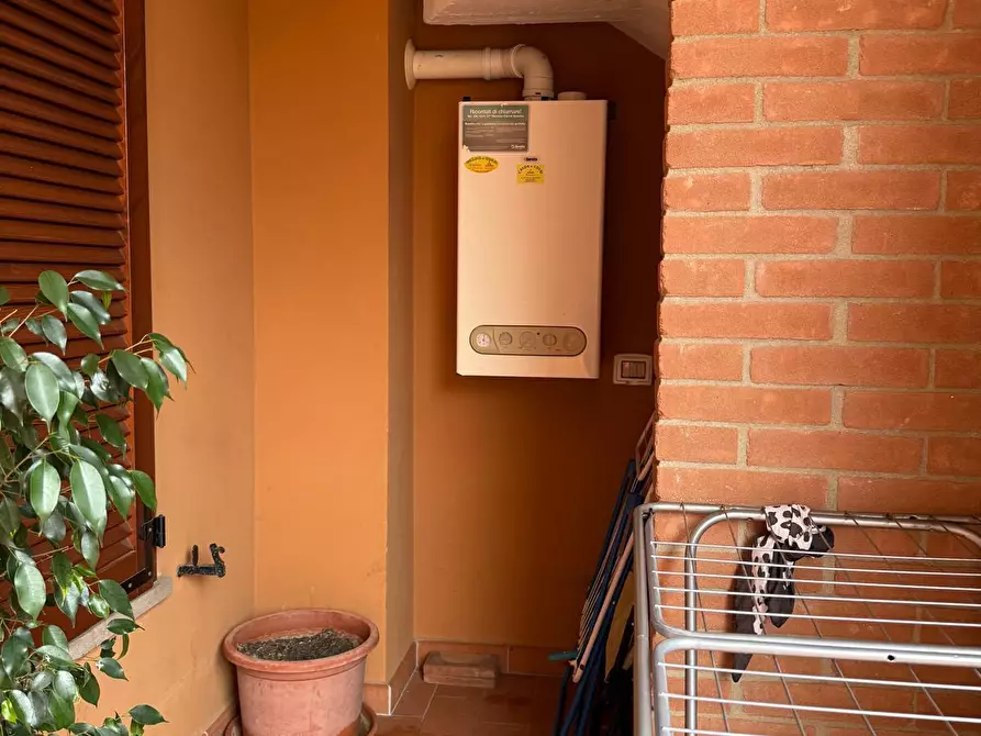 Immagine 3 di Appartamento in vendita  a Peccioli