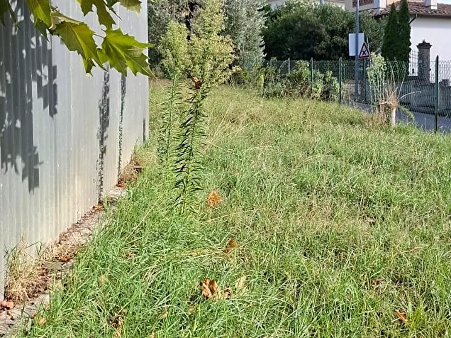 Immagine 9 di Terreno agricolo in vendita  a Palaia