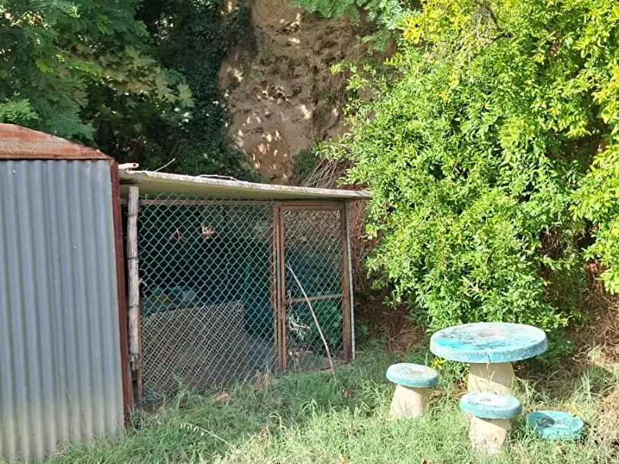 Immagine 10 di Terreno agricolo in vendita  a Palaia
