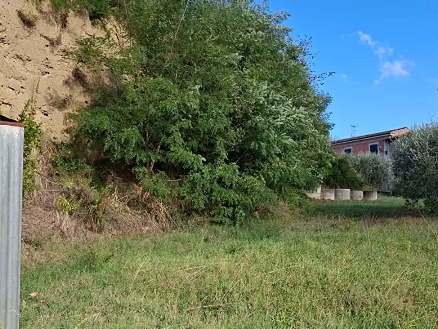 Immagine 7 di Terreno agricolo in vendita  a Palaia