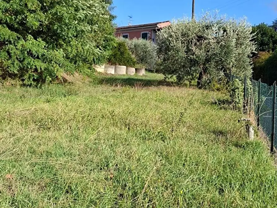 Immagine 8 di Terreno agricolo in vendita  a Palaia