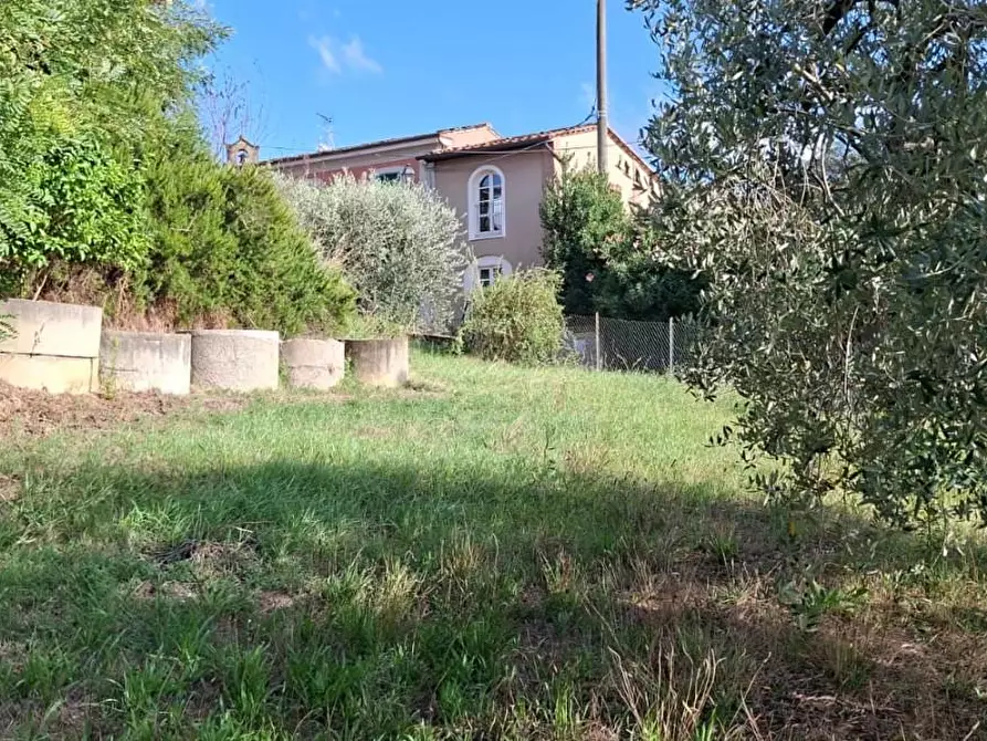 Immagine 6 di Terreno agricolo in vendita  a Palaia