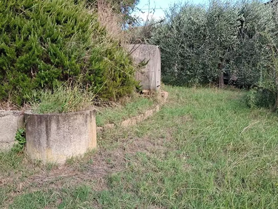 Immagine 5 di Terreno agricolo in vendita  a Palaia
