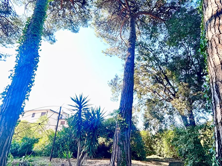 Immagine 45 di Appartamento in vendita  a Pisa