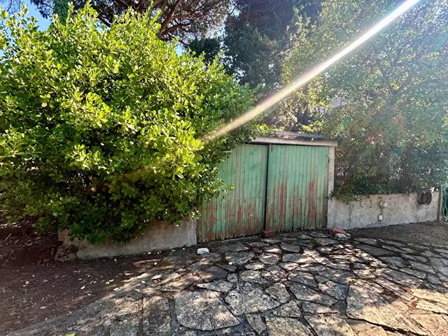 Immagine 44 di Appartamento in vendita  a Pisa