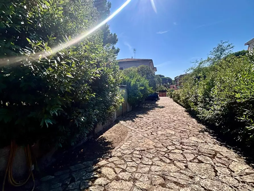 Immagine 43 di Appartamento in vendita  a Pisa