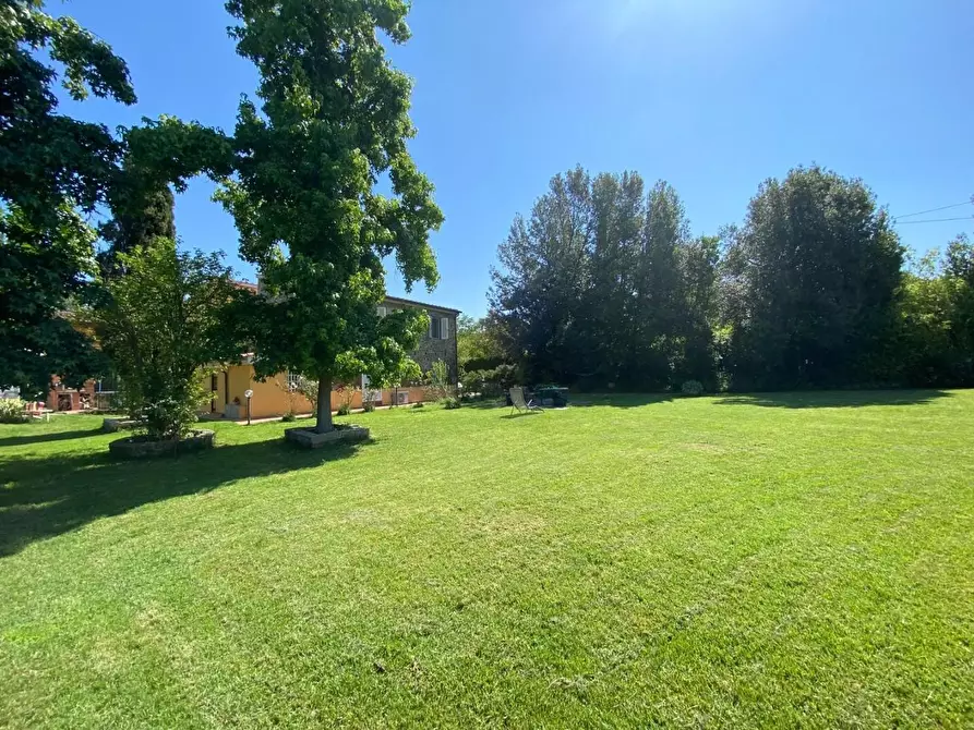 Immagine 46 di Casa colonica in vendita  a Vinci