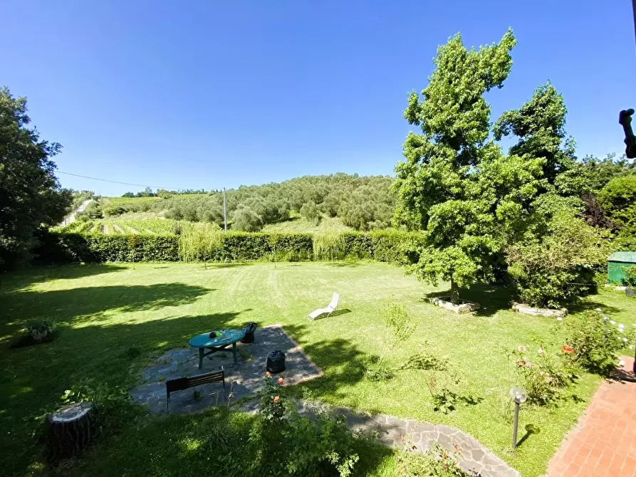 Immagine 7 di Casa colonica in vendita  a Vinci