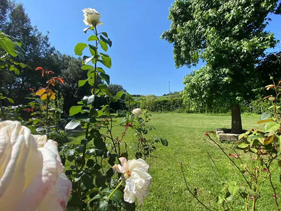Immagine 12 di Casa colonica in vendita  a Vinci