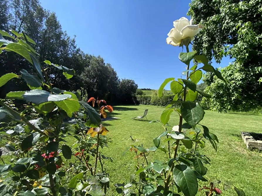 Immagine 11 di Casa colonica in vendita  a Vinci