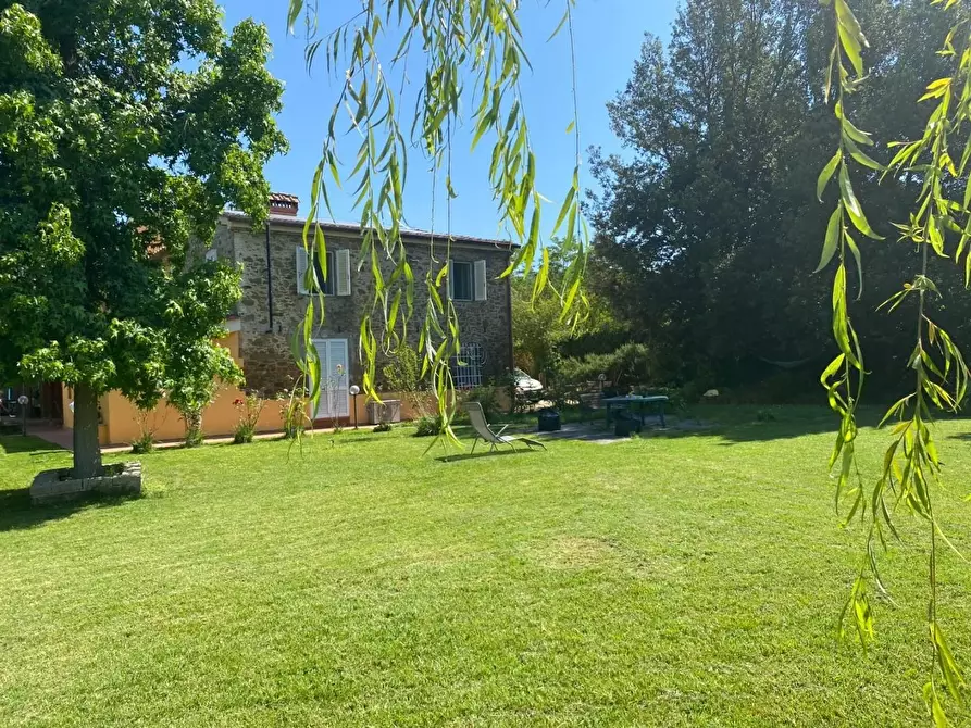 Immagine 49 di Casa colonica in vendita  a Vinci