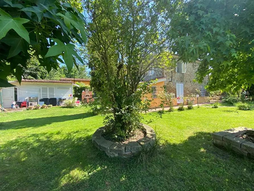 Immagine 8 di Casa colonica in vendita  a Vinci