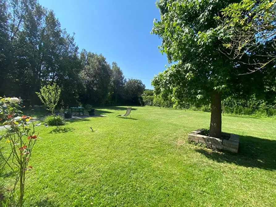 Immagine 51 di Casa colonica in vendita  a Vinci