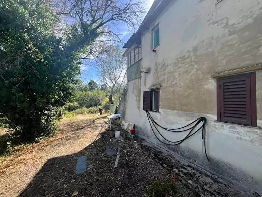 Immagine 6 di Casa indipendente in vendita  a Chianni