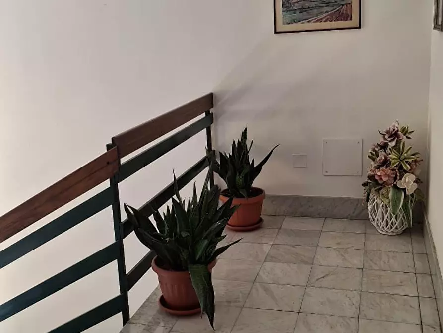 Immagine 9 di Appartamento in vendita  a San Giuliano Terme