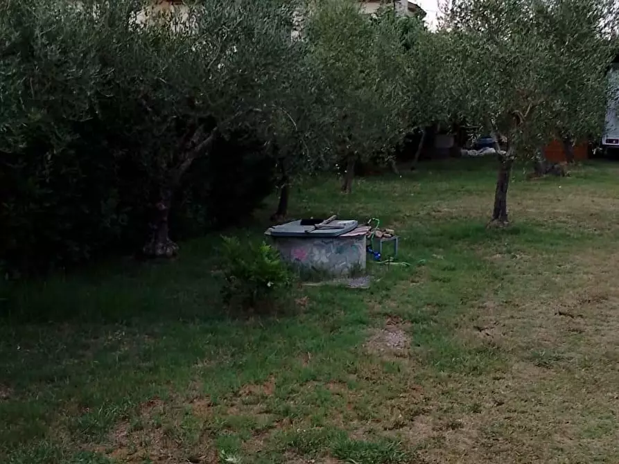 Immagine 3 di Terreno agricolo in vendita  a Collesalvetti