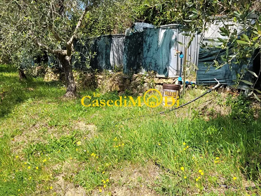 Immagine 8 di Terreno agricolo in vendita  a Livorno