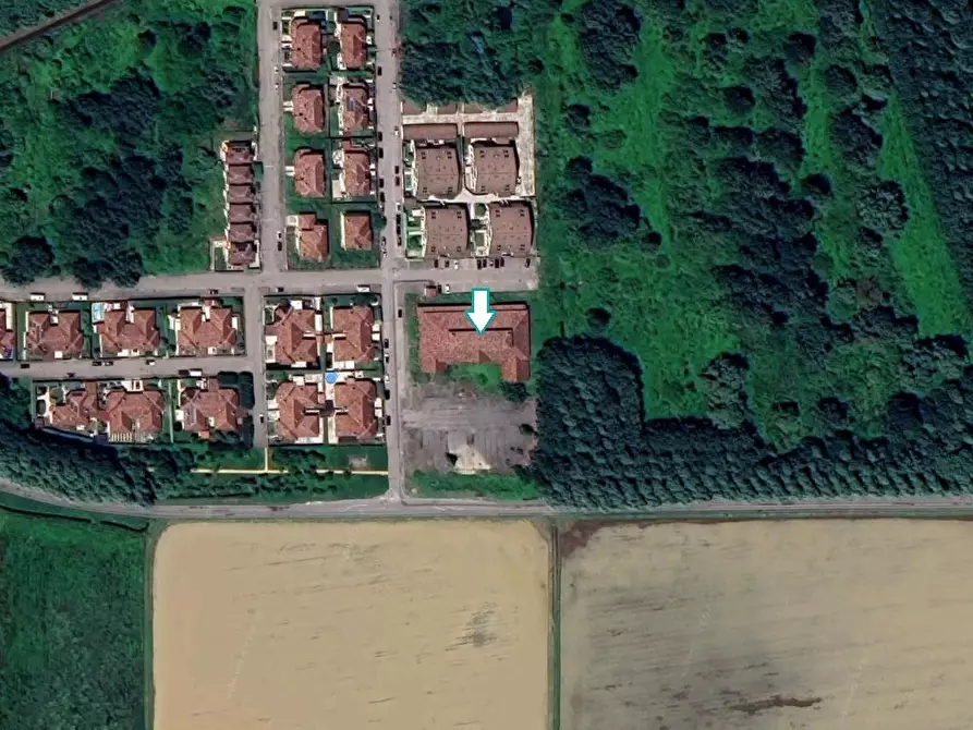 Immagine 3 di Capannone industriale in vendita  a Roncaro