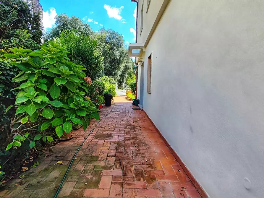 Immagine 30 di Appartamento in vendita  a Viareggio