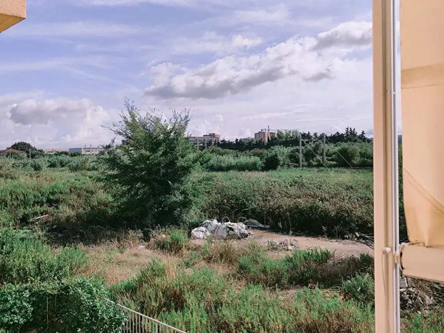 Immagine 4 di Appartamento in vendita  a Livorno