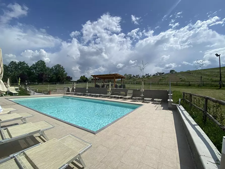 Immagine 5 di Casa colonica in vendita  a Montaione