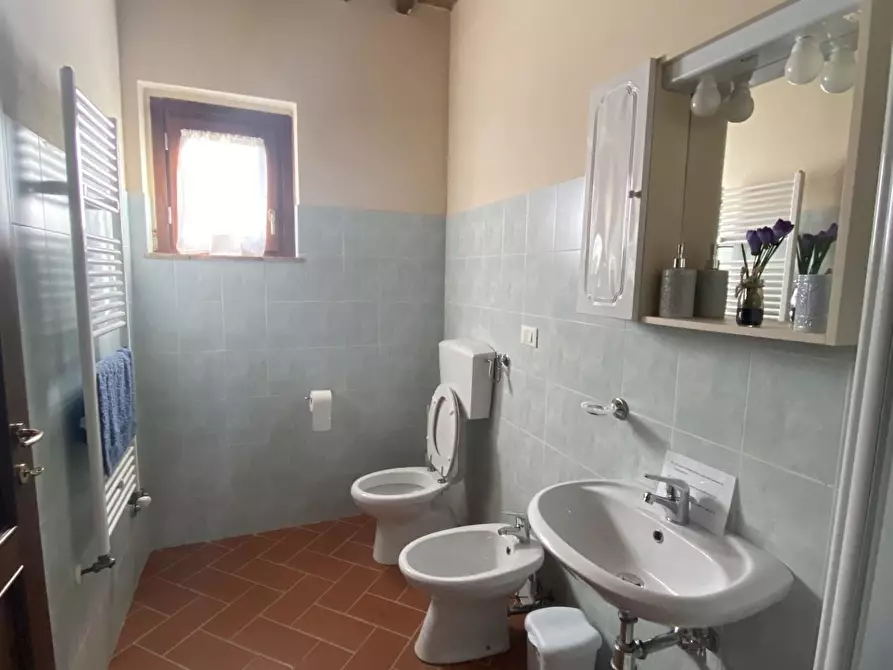 Immagine 23 di Casa colonica in vendita  a Montaione