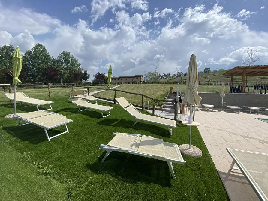 Immagine 18 di Casa colonica in vendita  a Montaione