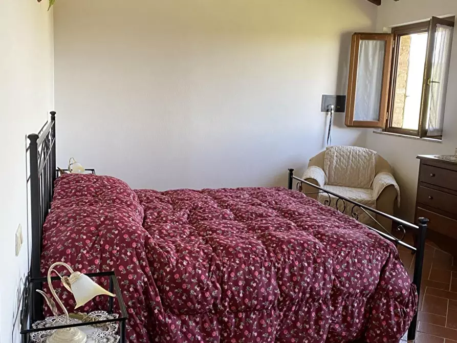 Immagine 21 di Casa colonica in vendita  a Montaione