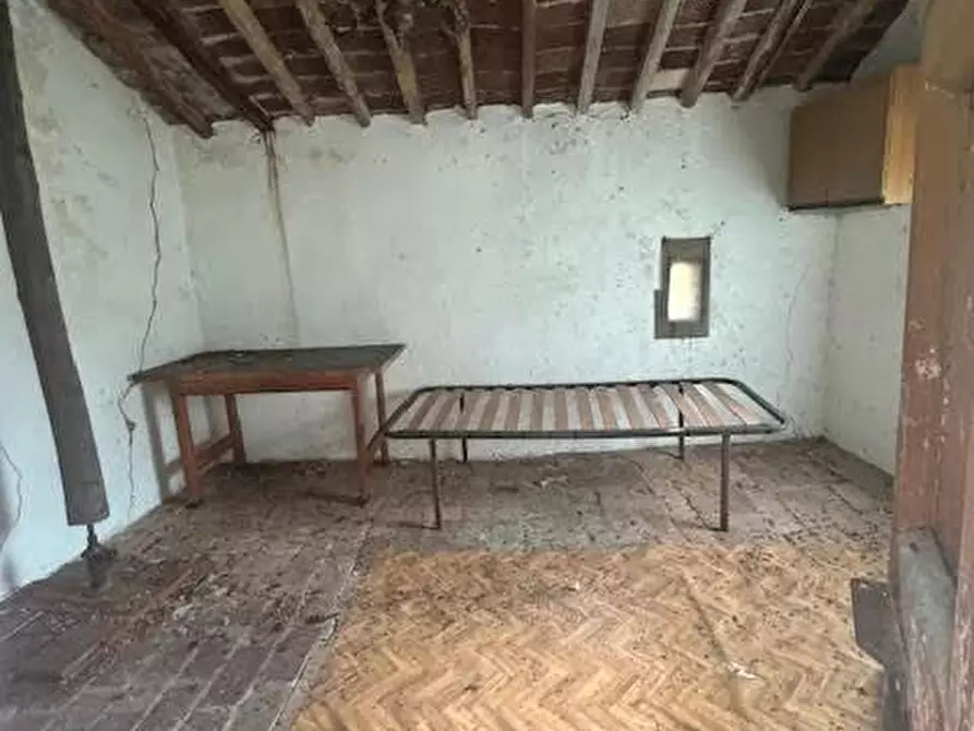 Immagine 2 di Terreno agricolo in vendita  a Calci