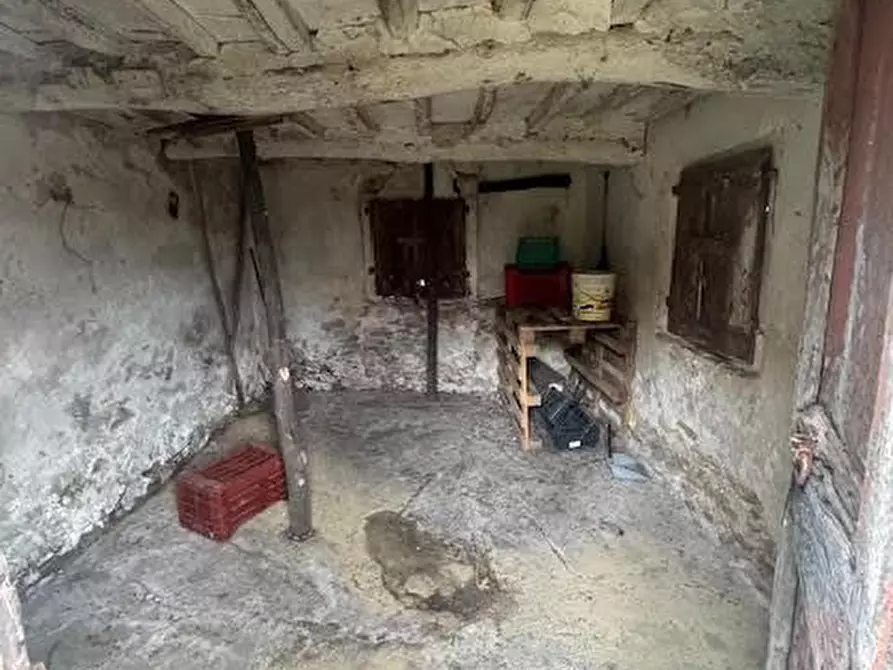 Immagine 3 di Terreno agricolo in vendita  a Calci