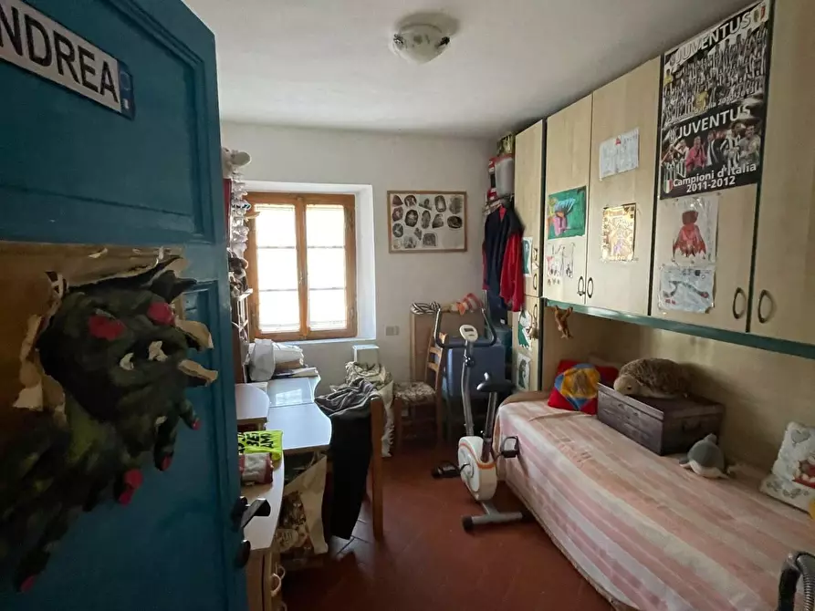 Immagine 6 di Terratetto in vendita  a Vecchiano