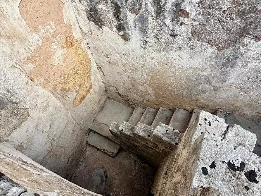 Immagine 24 di Appartamento in vendita  a Alessano