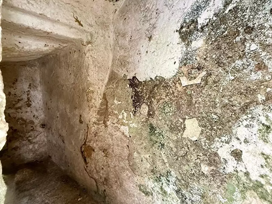 Immagine 29 di Appartamento in vendita  a Alessano