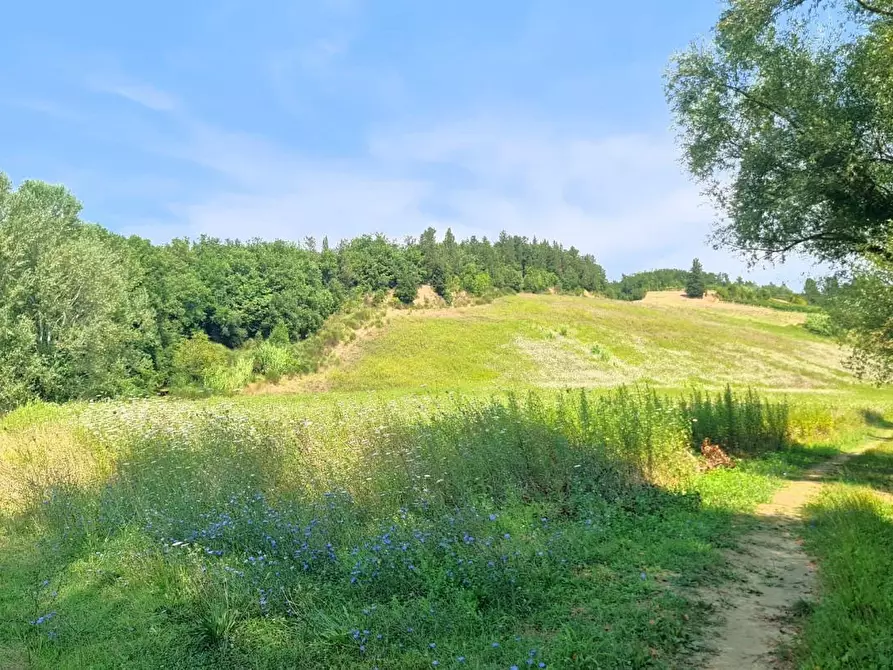 terreno agricolo in vendita a San Miniato