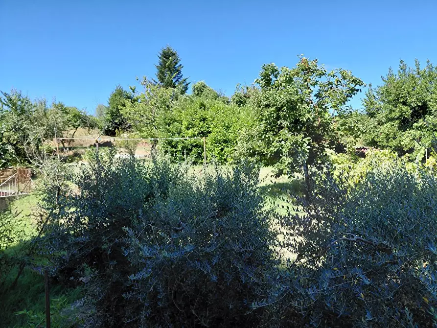 Immagine 27 di Appartamento in vendita  a Monteriggioni