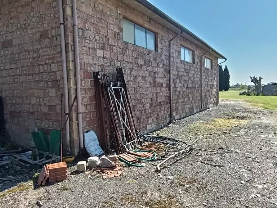 Immagine 2 di Attività artigianale in vendita  a Vecchiano