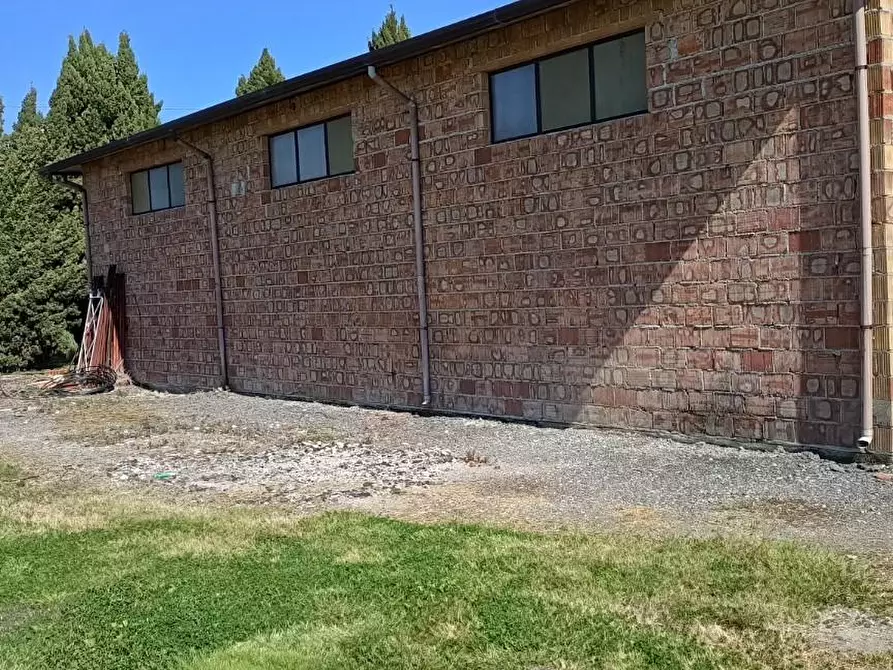 Immagine 3 di Attività artigianale in vendita  a Vecchiano