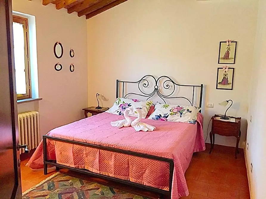 Immagine 11 di Casa colonica in vendita  a Montaione