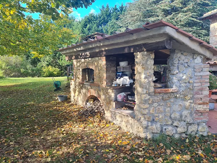 Immagine 25 di Rustico / casale in vendita  a Monteriggioni