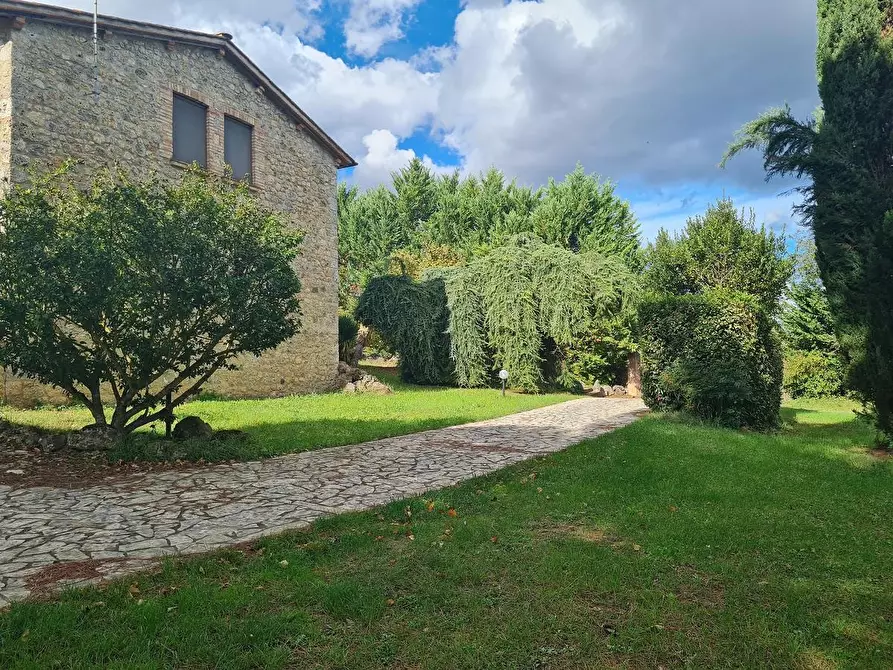 Immagine 18 di Rustico / casale in vendita  a Monteriggioni