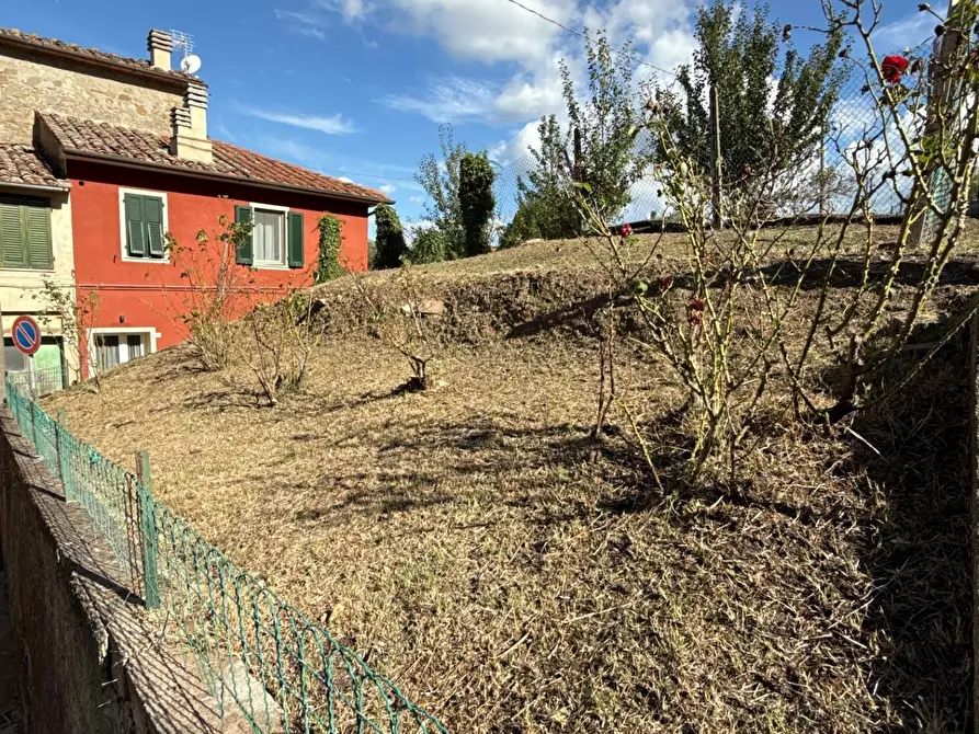 Immagine 43 di Terratetto in vendita  a Chianni